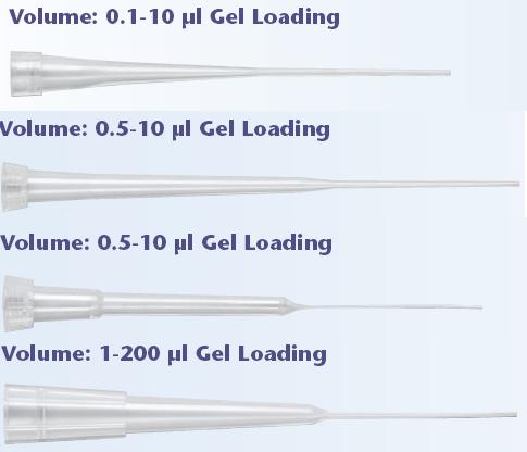 ��Ʒ���Q��QSP��(bi��o)��(zh��n)���z�c(di��n)�����^