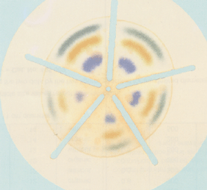 ��Ʒ���Q��MN��ī��/ɫ�V��